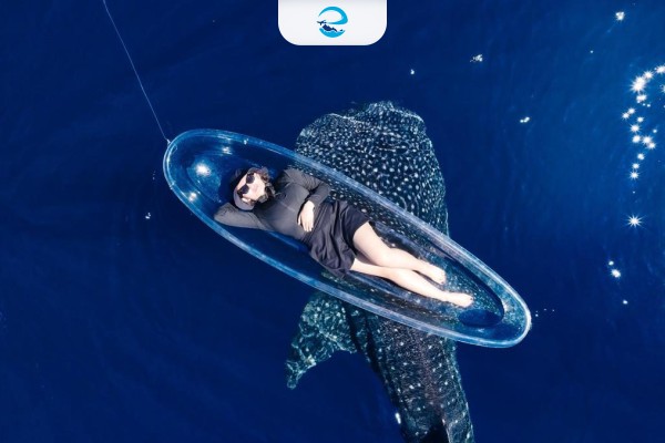 open trip sumbawa (2)