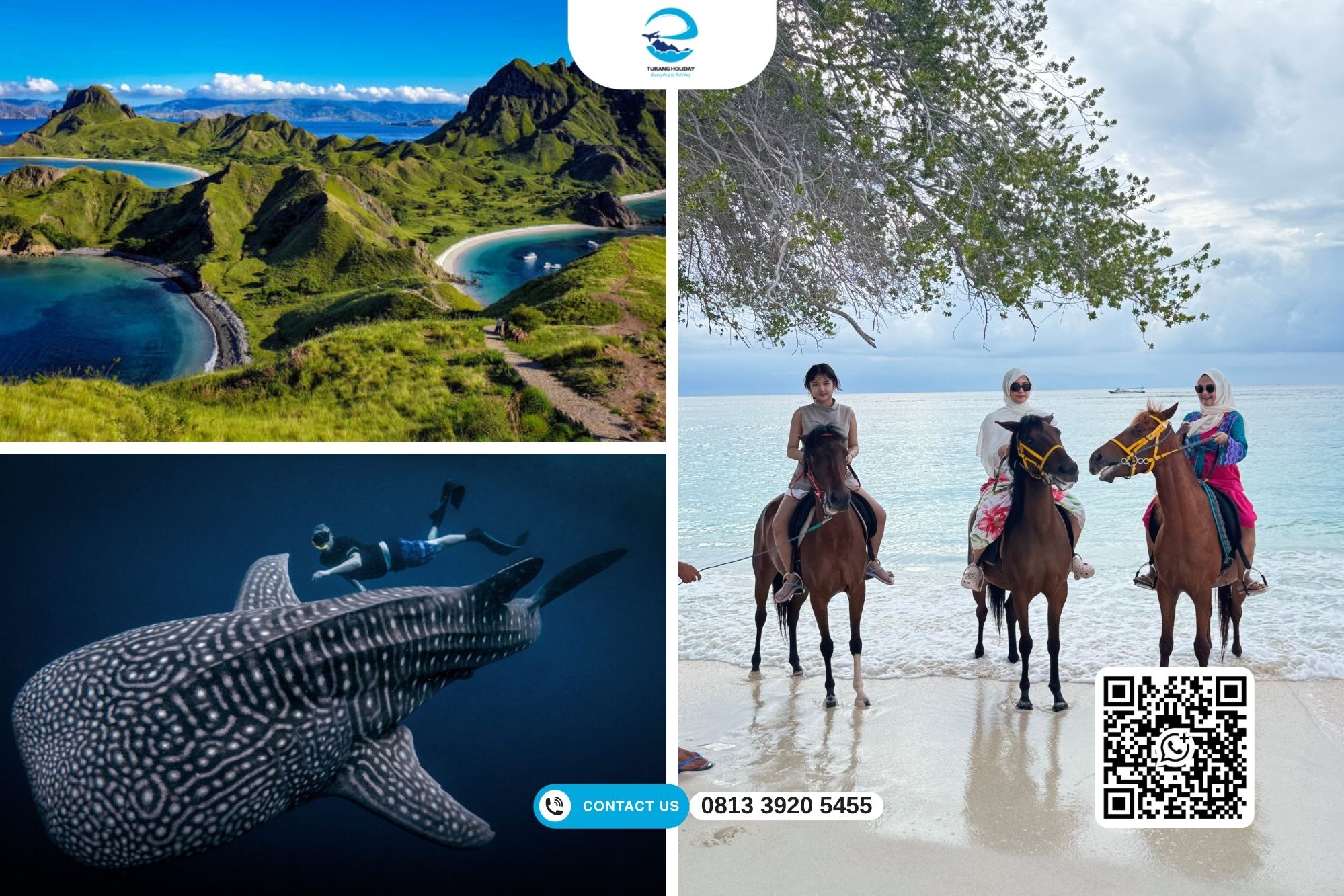 Website tukang holiday (1)